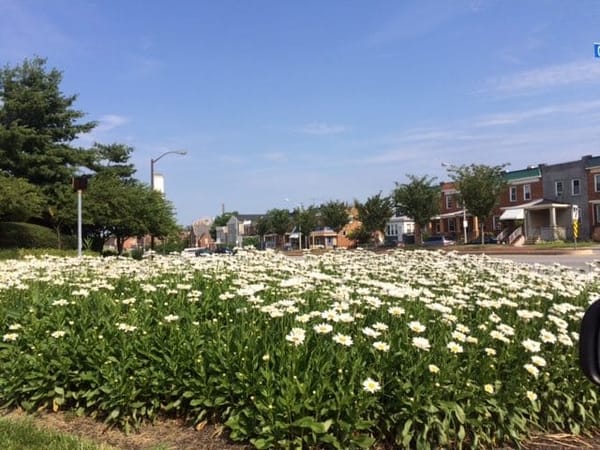 Baltimore, Maryland: The Eclectic South: photo 8