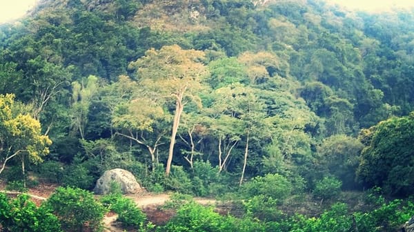 Veracruz My Love: photo 2