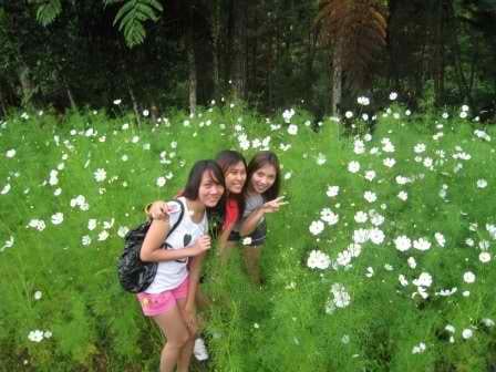 5 Things to Do in Davao: photo 28