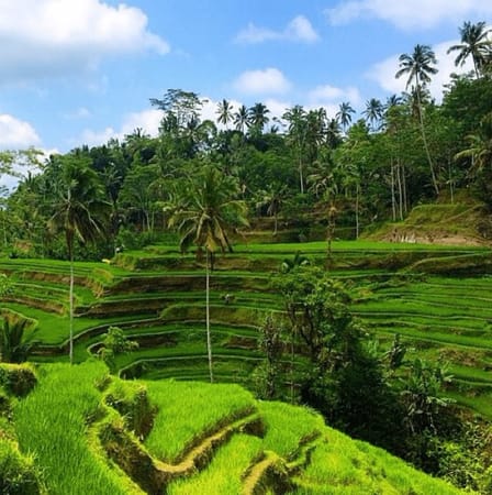 Top Activities for a Short Stay in Bali: photo 11