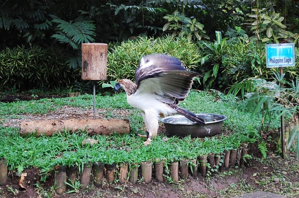 5 Things to Do in Davao: photo 22