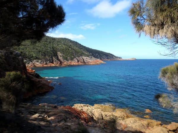 Tasmania:4 places you must visit (Australia): photo 7