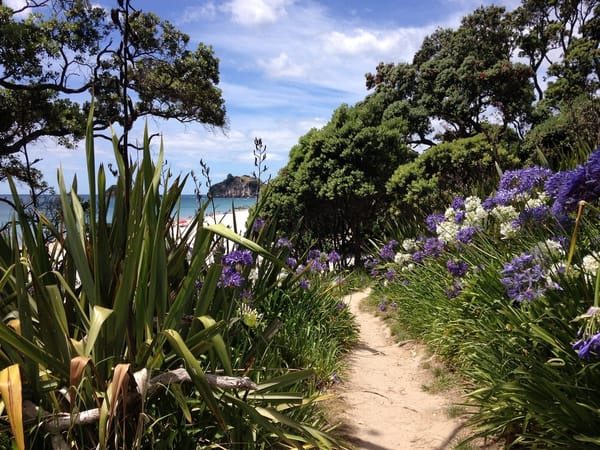 New Zealand's North Island: photo 18