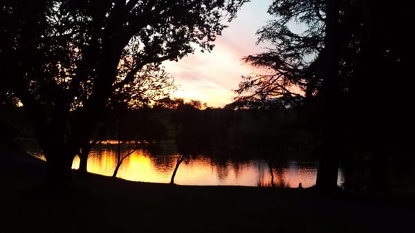 Exploring the hidden gems of the Bay of Plenty, New Zealand.: photo 1
