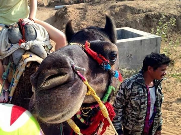 Pushkar : a pearl of Rajasthan: photo 6