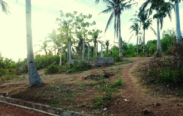 Soaking Up on the Islands of Giants (Islas de Gigantes): photo 22