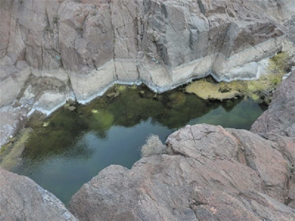 Flinders Ranges: Ancient earth and fascinating wildlife: photo 18