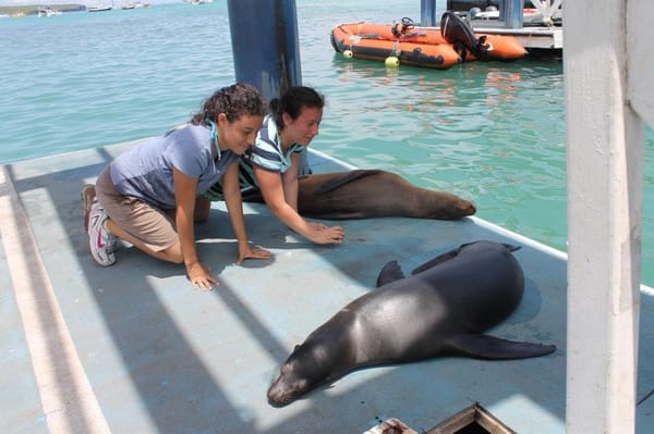 Ecuador: Experience South America: photo 8