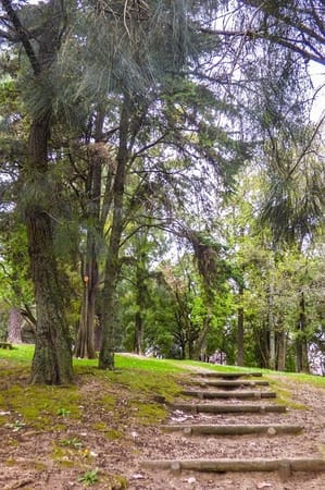 Top 5 parks and gardens in Lisbon: photo 4