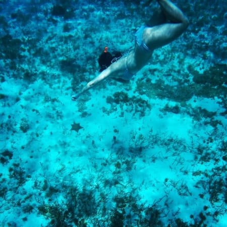 Discovering Cozumel in one day: photo 6