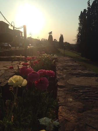 Pretoria: Navigating a "Racism Battle" in a Historic Capital: photo 1