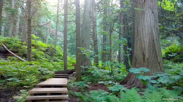 4 Most Unforgettable Locations in the Canadian Rockies: photo 1