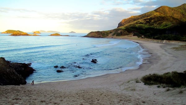 Whangarei - Beaches, Bush Walks and Sightseeing: photo 5