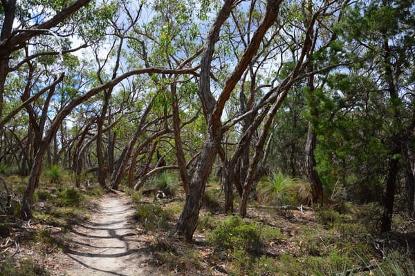 Camping the Grampians and Little Desert National Park: photo 1