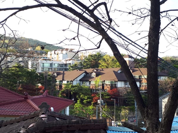 Lovely and tasty places in Seongbuk-Dong: photo 5