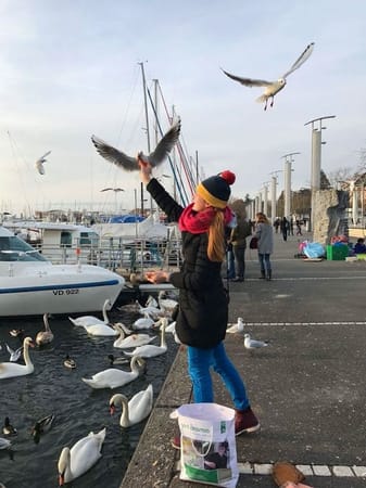 Lausanne – the Olympic Capital: photo 14