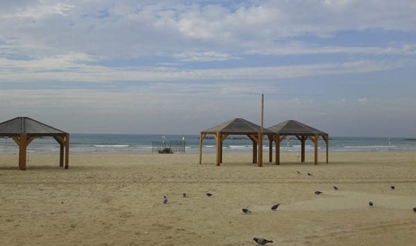 Tel Aviv: 10 places to enjoy the city: photo 7