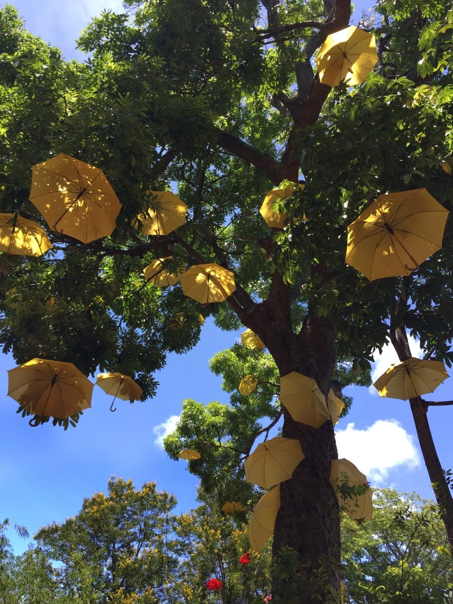 A Day in Saint-Denis: Making the Most of Reunion