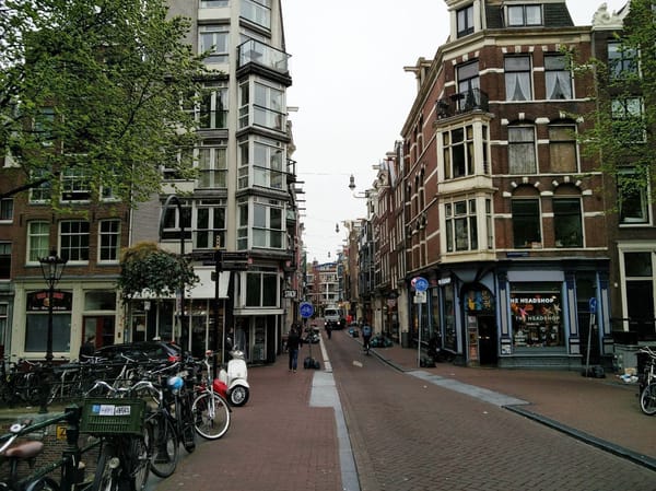 A Traveler’s Guide To Amsterdam: photo 14