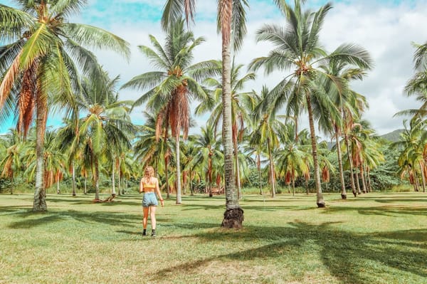 Explore Far North Queensland: photo 10