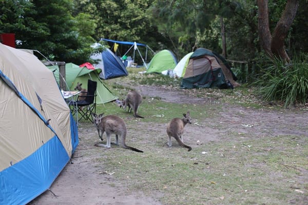 Caves Beach at Jervis Bay: A Weekend in the Great Outdoors: photo 1