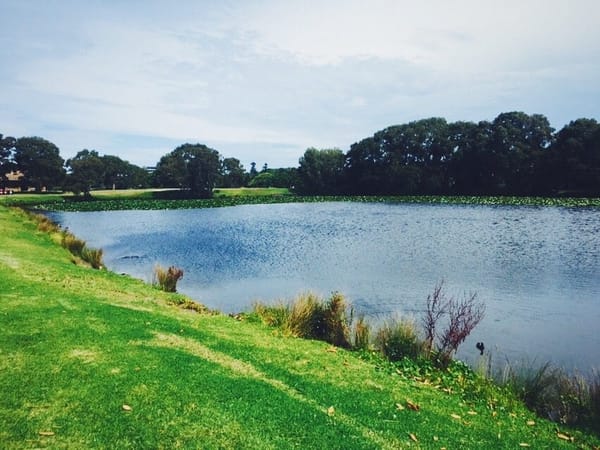 Australia - Centennial Park : A garden of wonders amidst a bustling city: photo 1