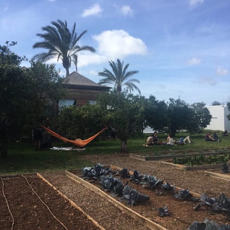 A Guide to Atzaro Spring Festival in Ibiza, Spain: photo 2