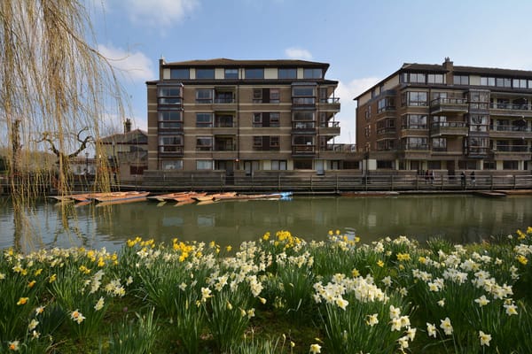 Cambridge: A city to fall in love with: photo 9