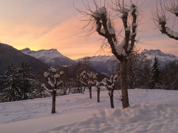 Leysin: Heaven at 1200 meters: photo 2