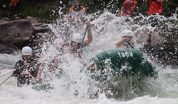 Rishikesh : An ideal destination for your next trip.: photo 6