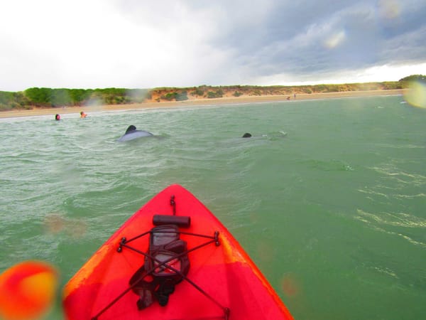 Natural wonders in the Catlins region: photo 5