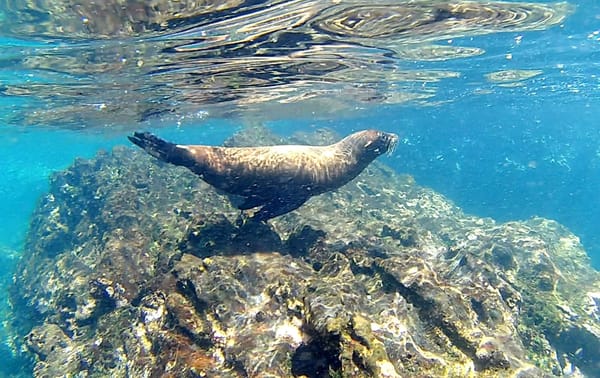 Isla San Cristobal, Galapagos – The full experience for less: photo 6