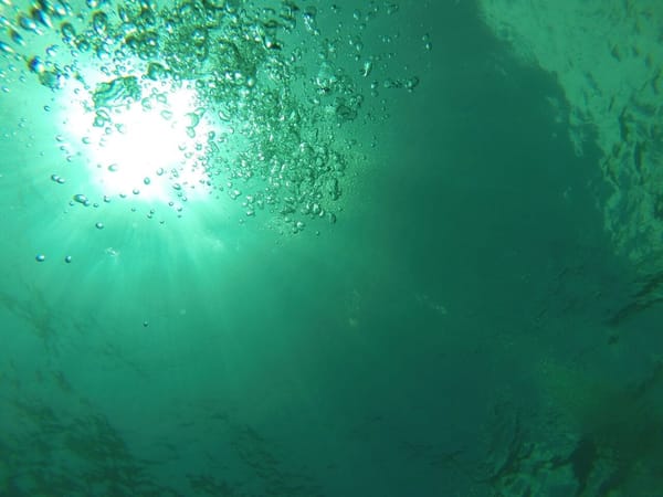 Must-do Experiences in Bali, Indonesia: photo 2