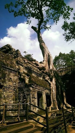 Siem Reap: Short Circuit & Pub Street: photo 4