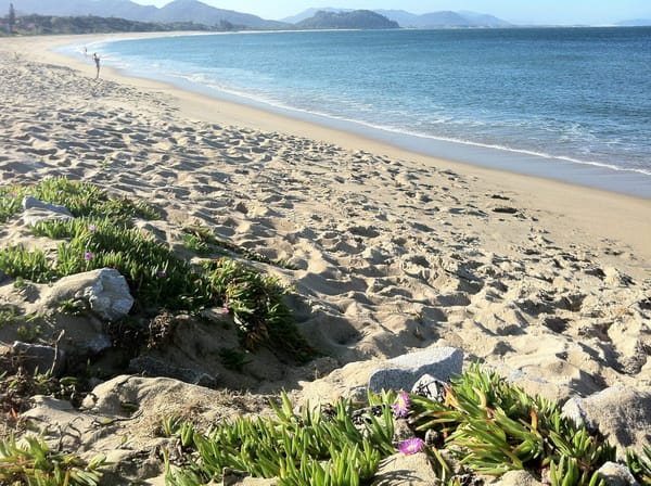 The Magic of Florianopolis: photo 4