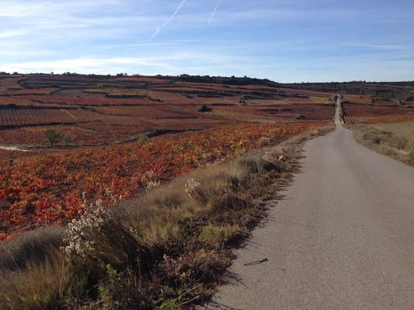 A Day in Spain’s Wine Country: Travel Guide for Logroño, La Rioja: photo 3