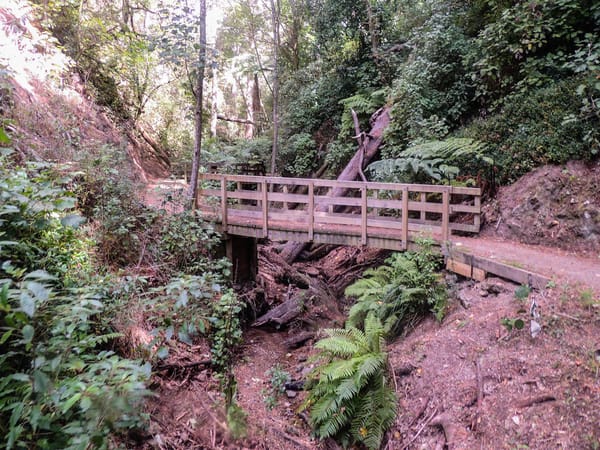 Hawkins Hill: The Hidden Gem of Wellington, New Zealand: photo 2