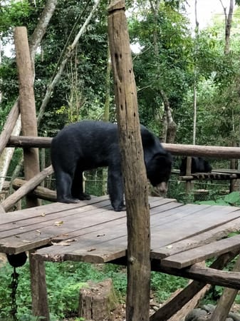 Laos: Top  5 Places To Visit: photo 9