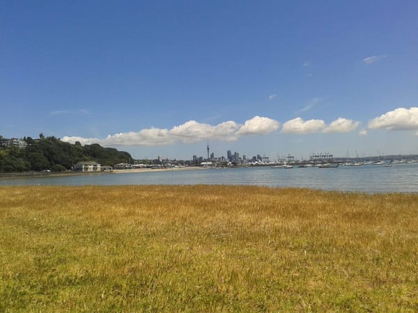 New Zealand - Aotearoa - Country of Maoris: photo 8