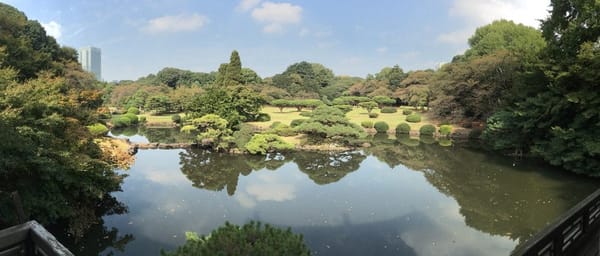 JAPAN: 10 DAYS IN TOKYO: photo 4
