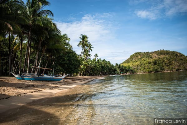 What to see in Coron: secret paradises: photo 1
