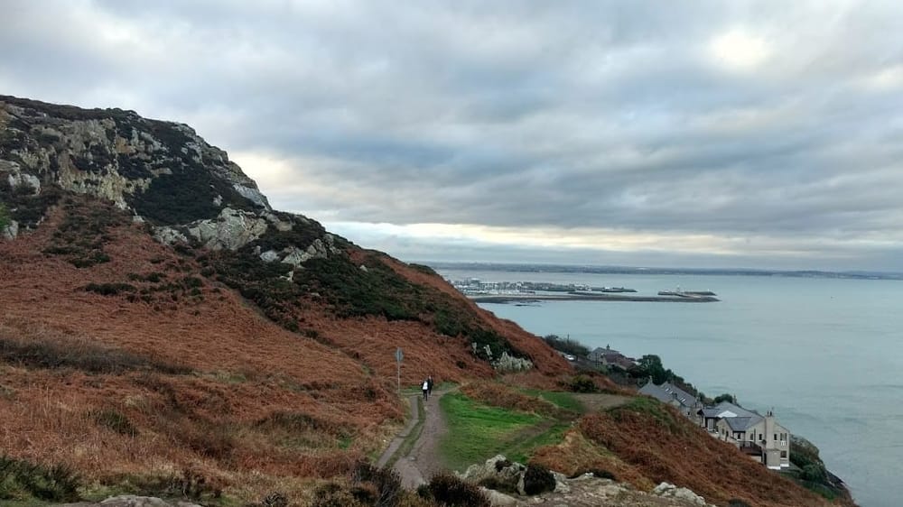 Getting your Nature Fix in Dubin