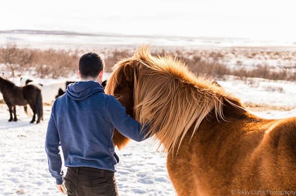 Iceland: Natural Paradise: photo 1
