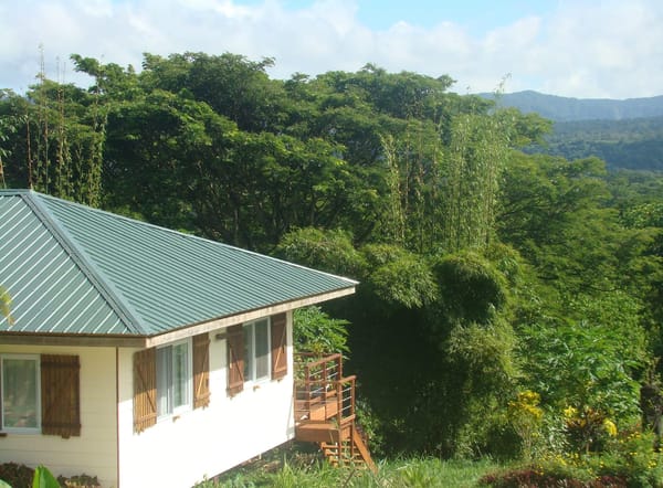Bellevue Ecolodge: Your very own slice of Paradise.: photo 4
