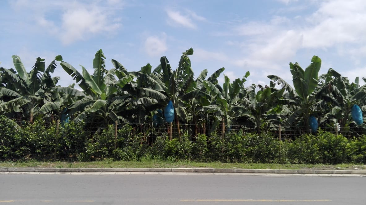 8 things you probably didn't know about small town Colombia