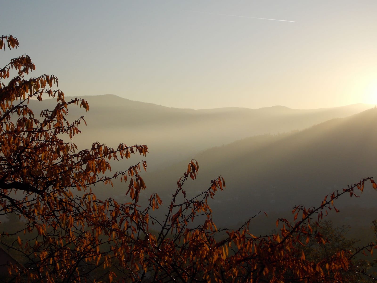 A visual journey of the French countryside: Valley of Munster
