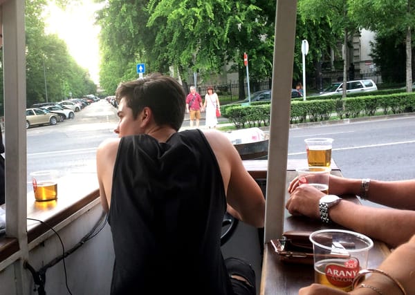 Drinking Your Way Around Budapest: photo 1