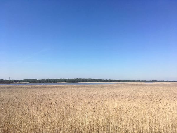 Hiiumaa: A hidden paradise in the Baltic sea: photo 6