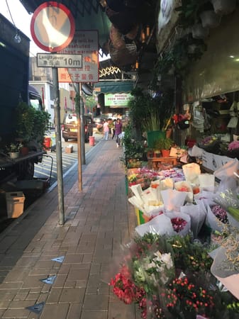 A Solo Trip to Hong Kong: photo 3