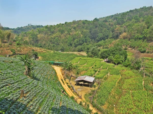 Thailand in 10 Days: Travelling from North to South: photo 1